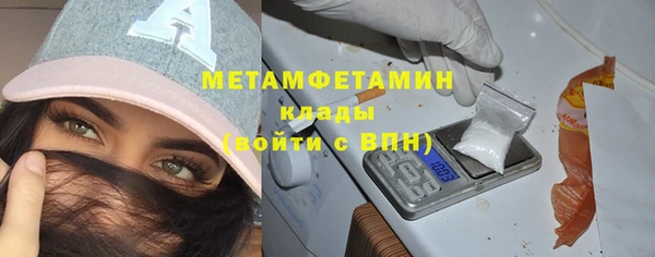 шишки Коряжма