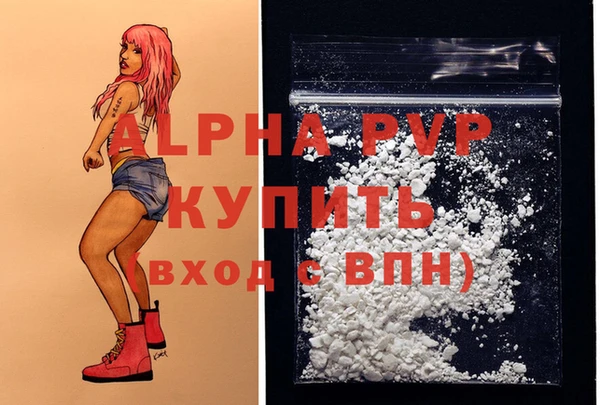 скорость Козловка
