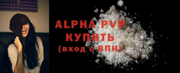 шишки Коряжма