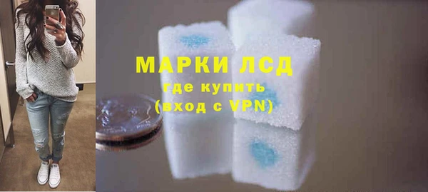 шишки Коряжма