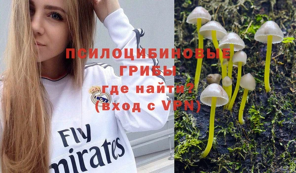 дживик Козельск