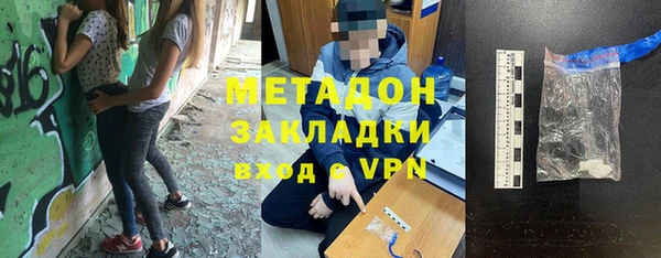 шишки Коряжма