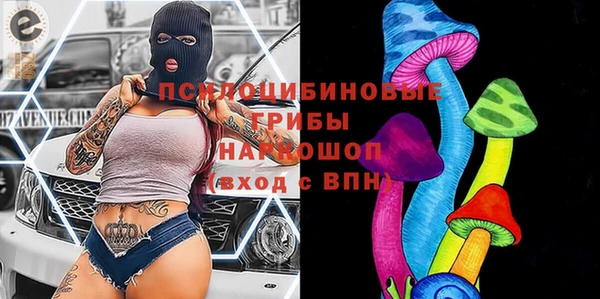 шишки Коряжма