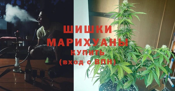 spice Корсаков