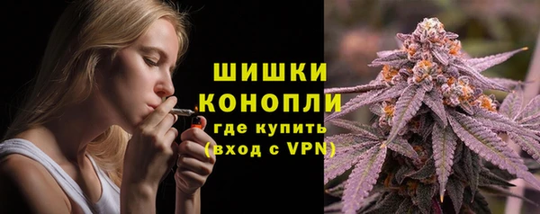 дживик Козельск